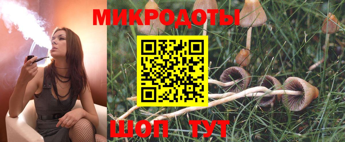 Галлюциногенные грибы мицелий Калач-на-Дону